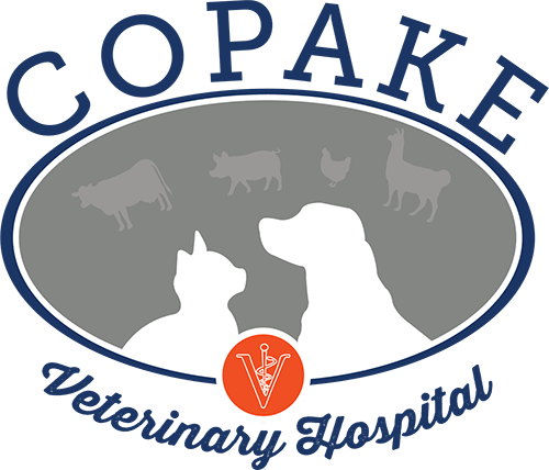 Copake Veterinary Hospital