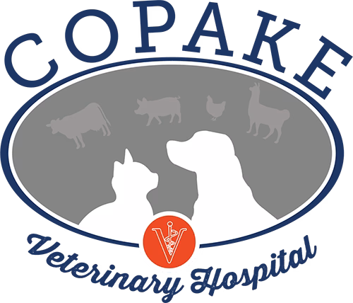 Copake Veterinary Hospital